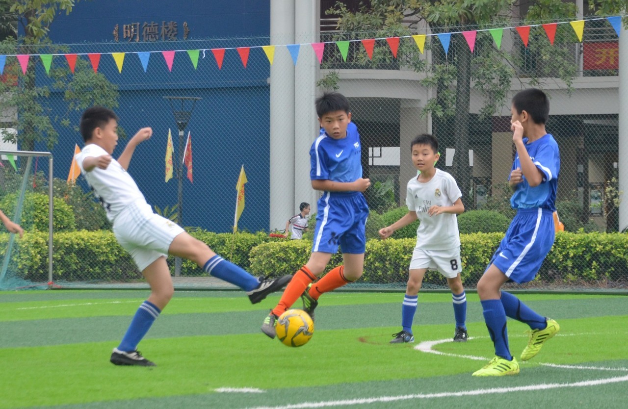 不仅很好的 不仅很好的