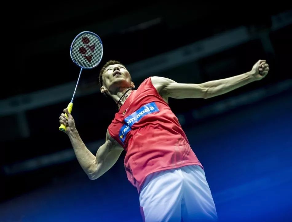 即将双双登 即将双双登